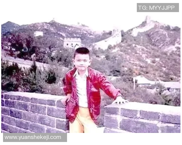 柳州的姚明如何在篮球场上书写属于自己的传奇故事