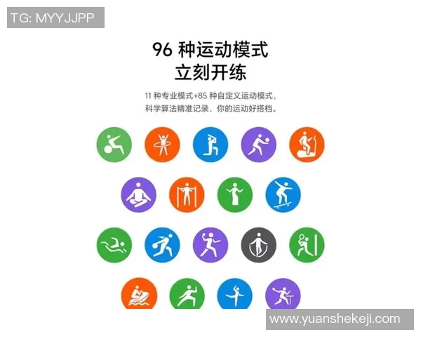 全面解析各种体育运动器材的名称与图片展示让你一目了然